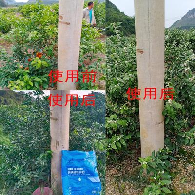 中德益农钙镁硼铁锌中微量元素水溶肥生根壮苗粉剂全水溶非颗粒肥 - 图片2