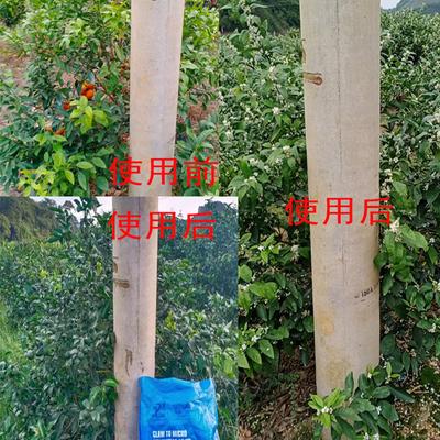 中德益农钙镁硼铁锌中微量元素水溶肥生根壮苗粉剂全水溶非颗粒肥 - 图片4