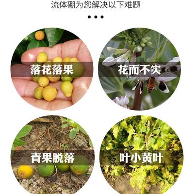流体硼正品进口硼肥液体硼水溶硼肥果树肥叶面肥保花保果微量元素 - 图片4
