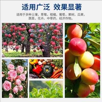 铁桶浓缩酶解有机鱼蛋白原液日本生根抗逆提高品质膨果水溶肥桶肥 - 图片2