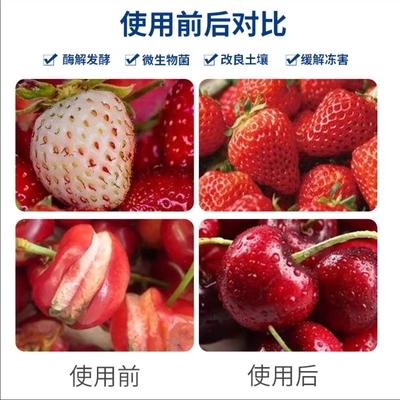 铁桶浓缩酶解有机鱼蛋白原液日本生根抗逆提高品质膨果水溶肥桶肥 - 图片4