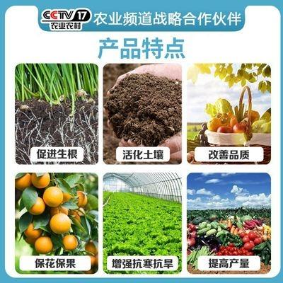 中德益农矿源黄腐酸钾农用水溶肥液体肥保花保果抗重茬全水溶肥料 20kg袋装 原料A级 - 图片3