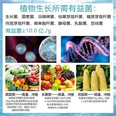 中德益农矿源黄腐酸钾农用水溶肥液体肥保花保果抗重茬全水溶肥料 20kg袋装 原料A级 - 图片4