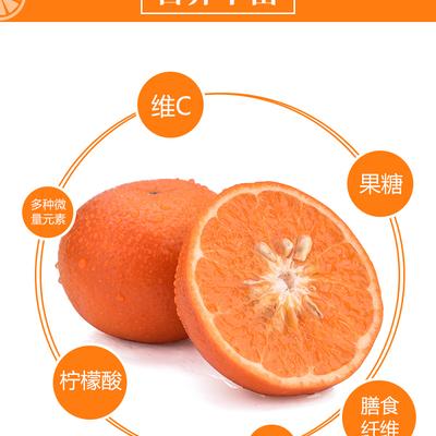 广西武鸣沃柑产地直发精品果大果中果小果特级果一级果二级果 - 图片4