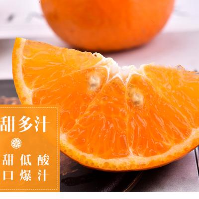 广西武鸣沃柑产地直发精品果大果中果小果特级果一级果二级果 - 图片5