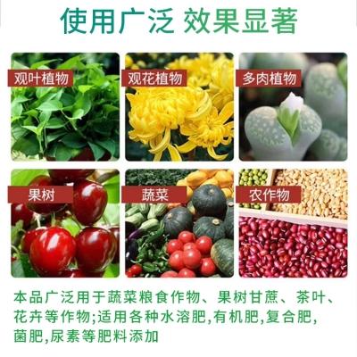中德益农矿源黄腐酸钾蔬菜有机腐植酸水溶肥滴灌冲施肥桶装肥果树 - 图片5